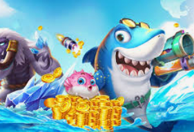 6686下载电脑免费版